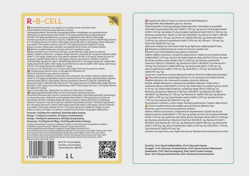 R-B-Cell