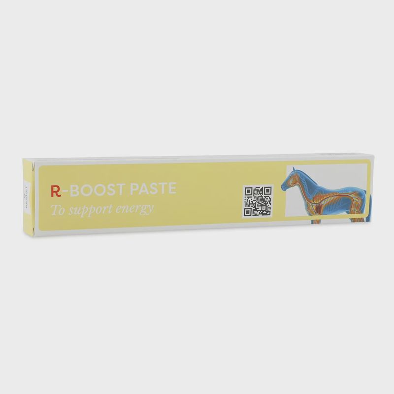 R-Boost paste