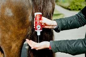 Leovet 5sterren magic style