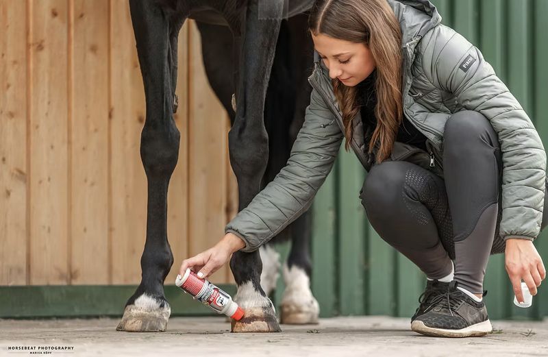 Leovet Hooflab hoefversteviger