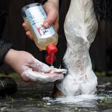 Leovet Med-Wash lotion