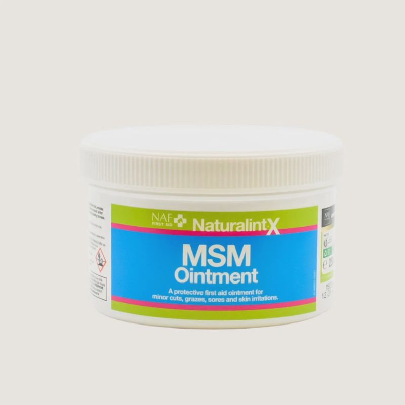 NAF NaturalintX MSM Ointment