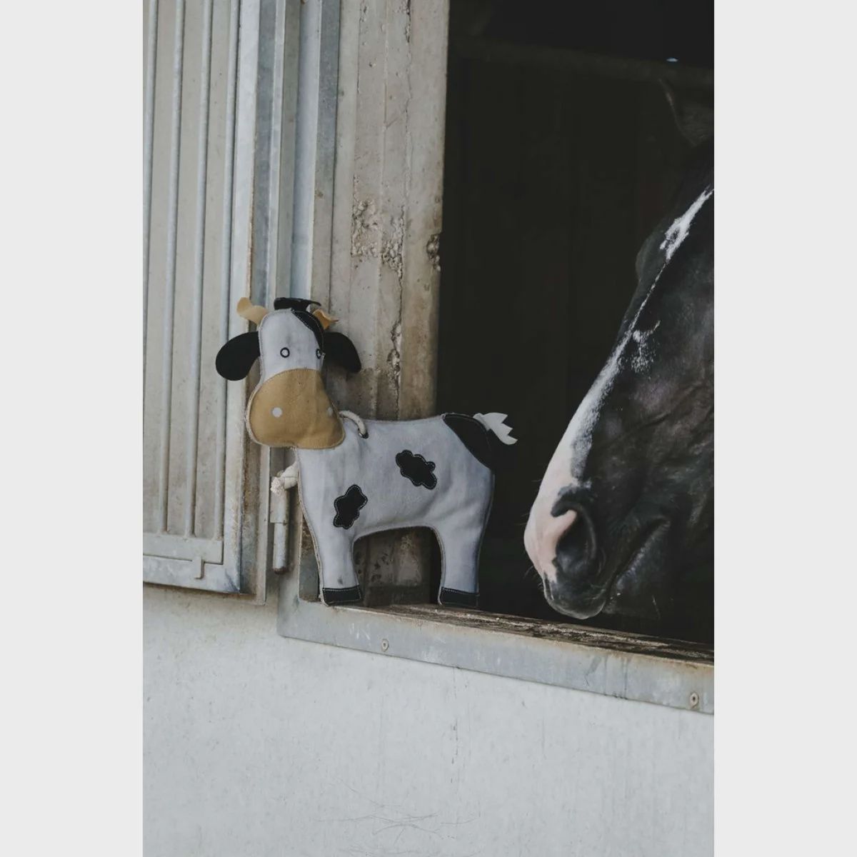 HippoTonic Horsetoy koe