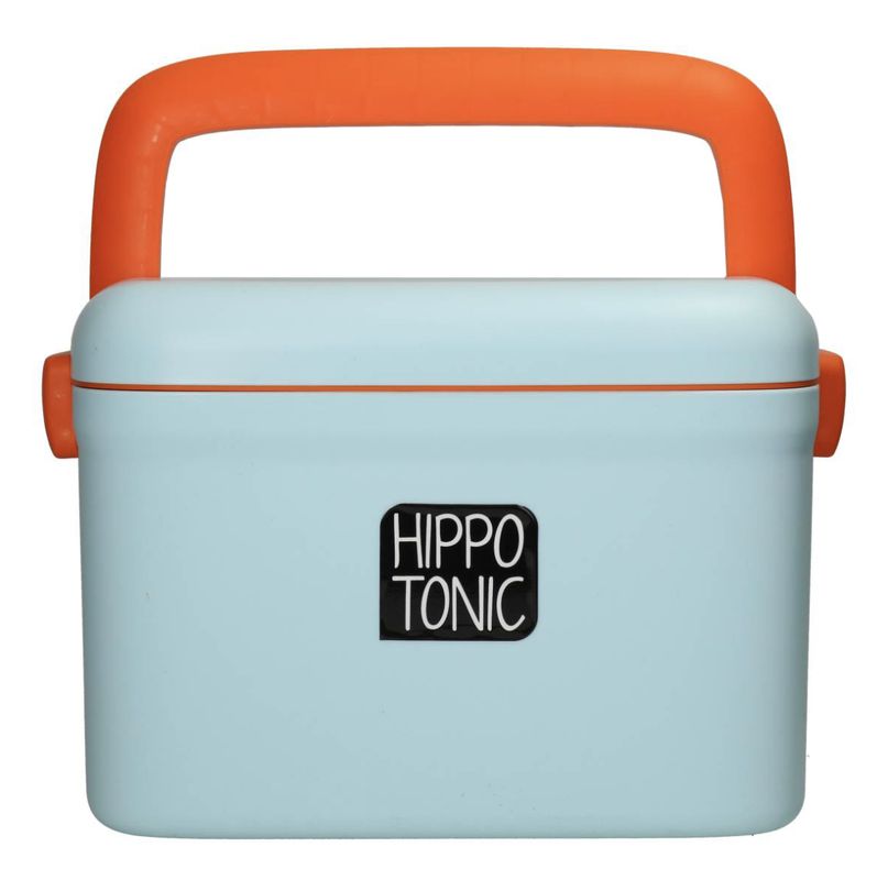 Hippotonic grooming box scooby