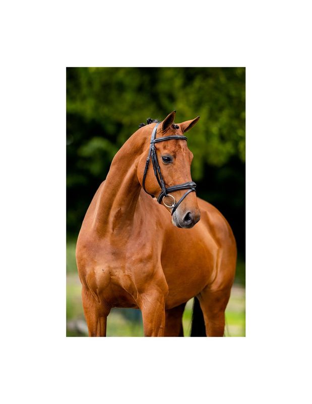BR hoofdstel Cheltenham