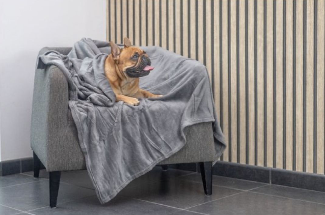 Jack and Vanilla cocoon soft blanket