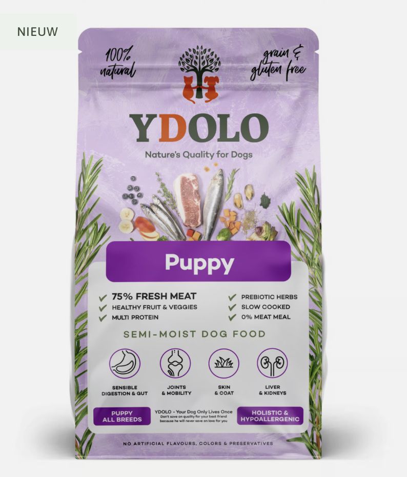 Ydolo puppy