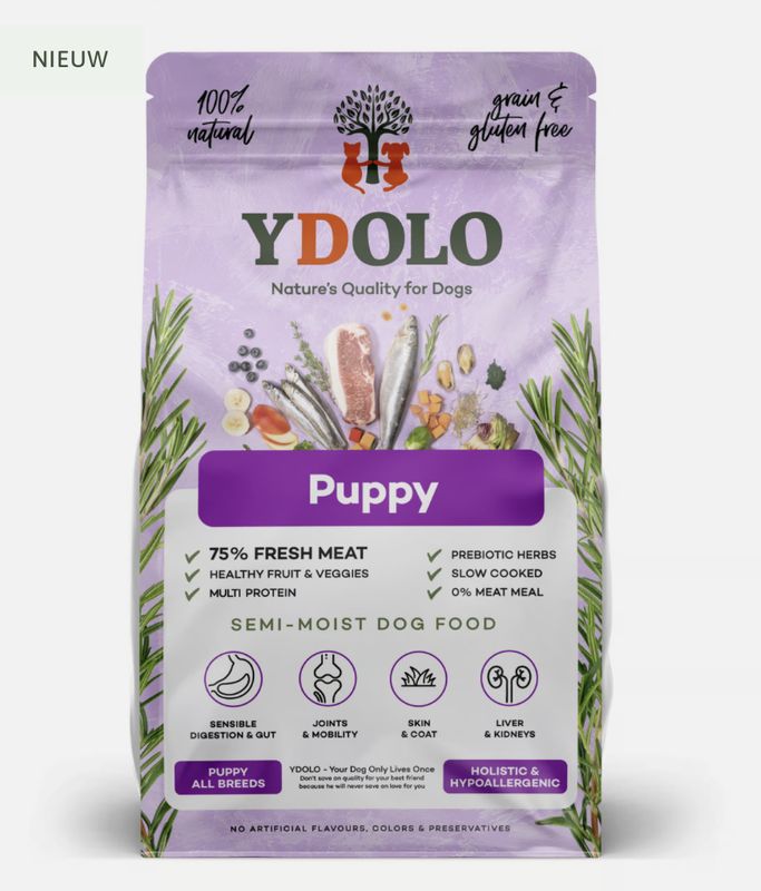 Ydolo puppy