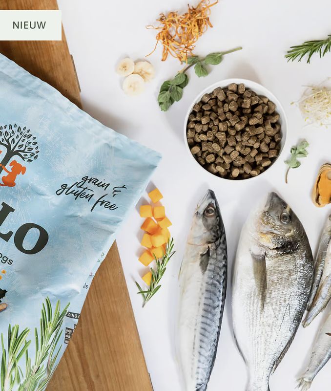Ydolo Wild Fish