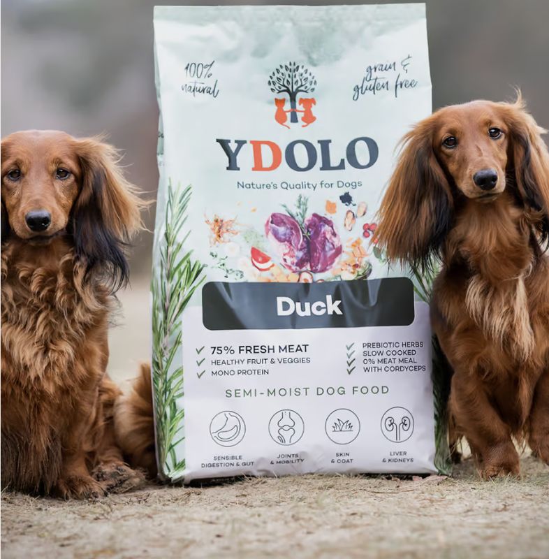 Ydolo Duck