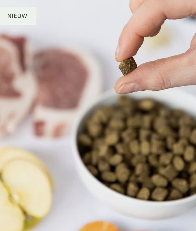 Ydolo Iberico