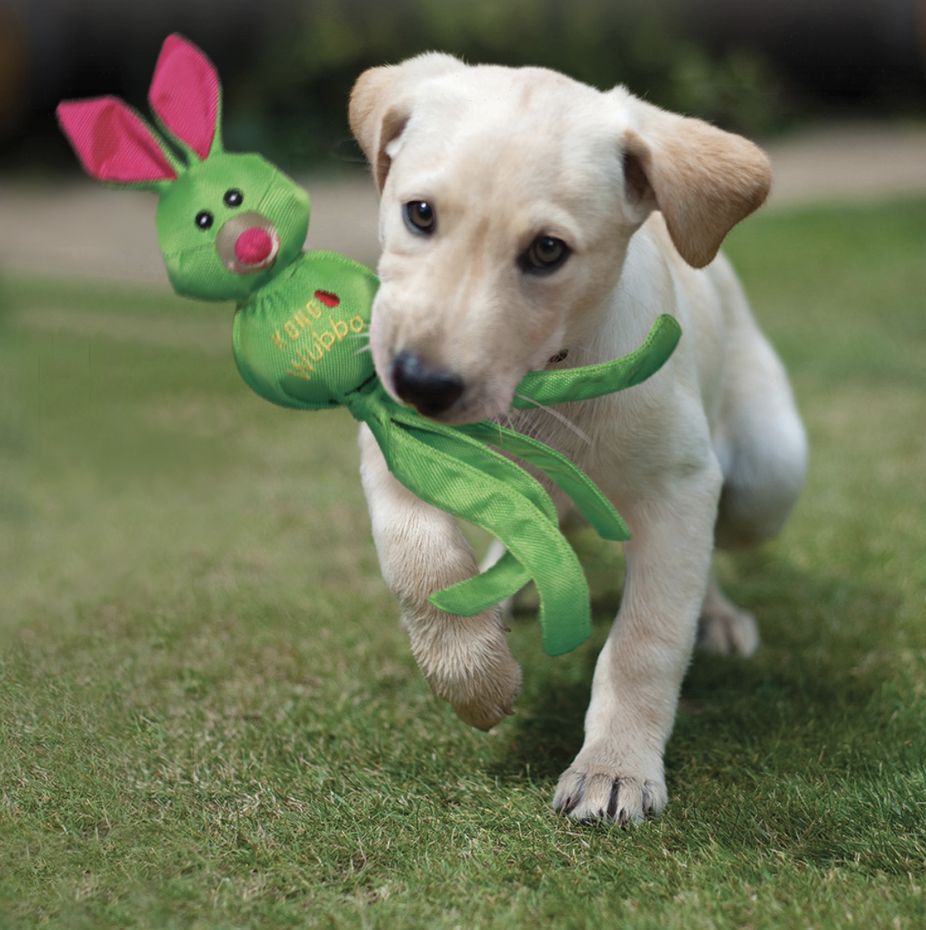 Kong wubba friends ballistic assorted L