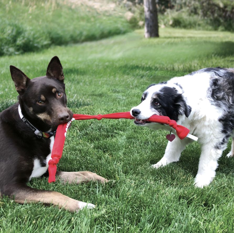 Kong signature crunch rope
