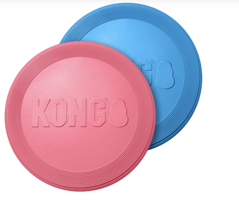 Kong flyer puppy