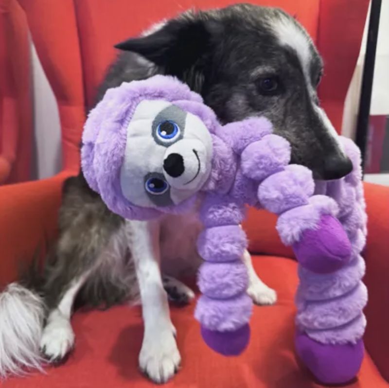 Kong crumples sloth xl
