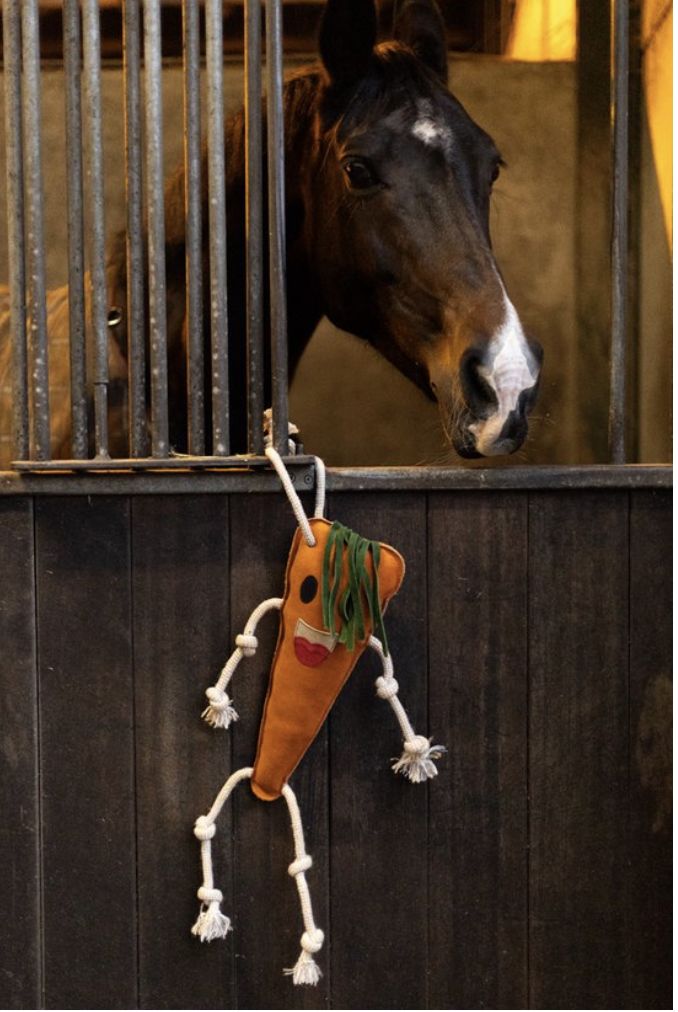 Excellent Foodie friends carrot