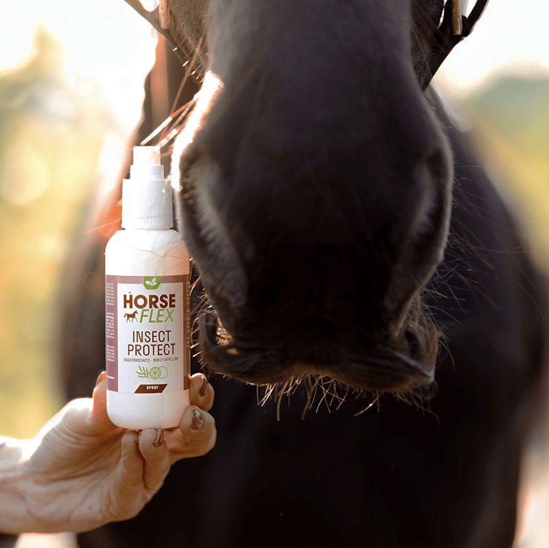 Horseflex Insect Protect 150ml