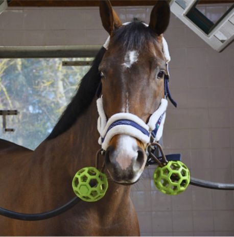 Hippotonic rubber protection ball zwart