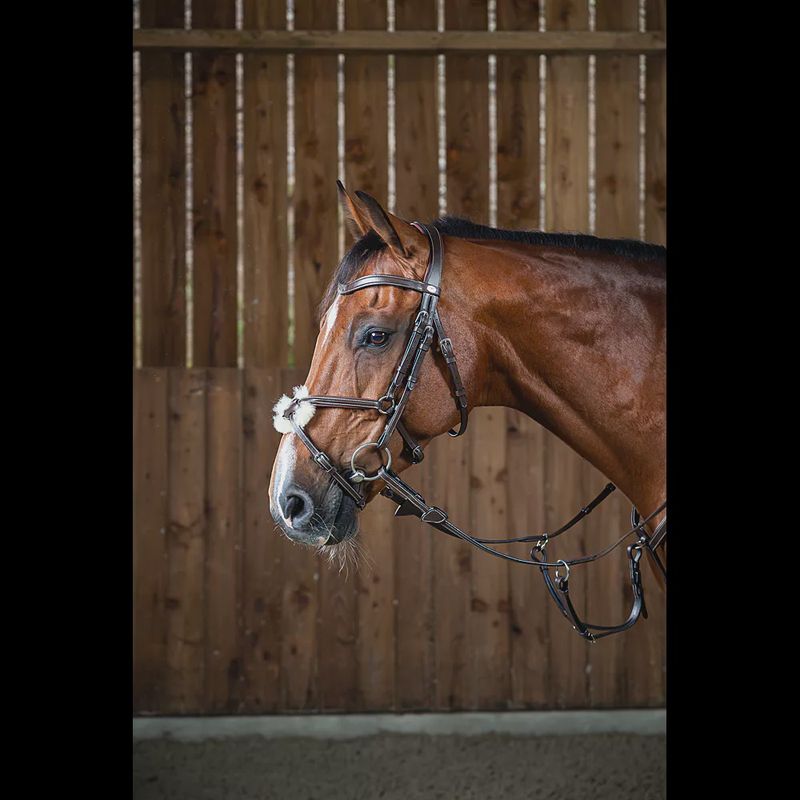 Dy’on fig8 noseband