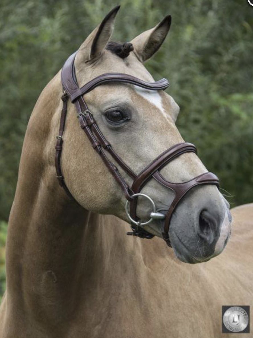 LJ Pro Selected Legend Gotha australian nut