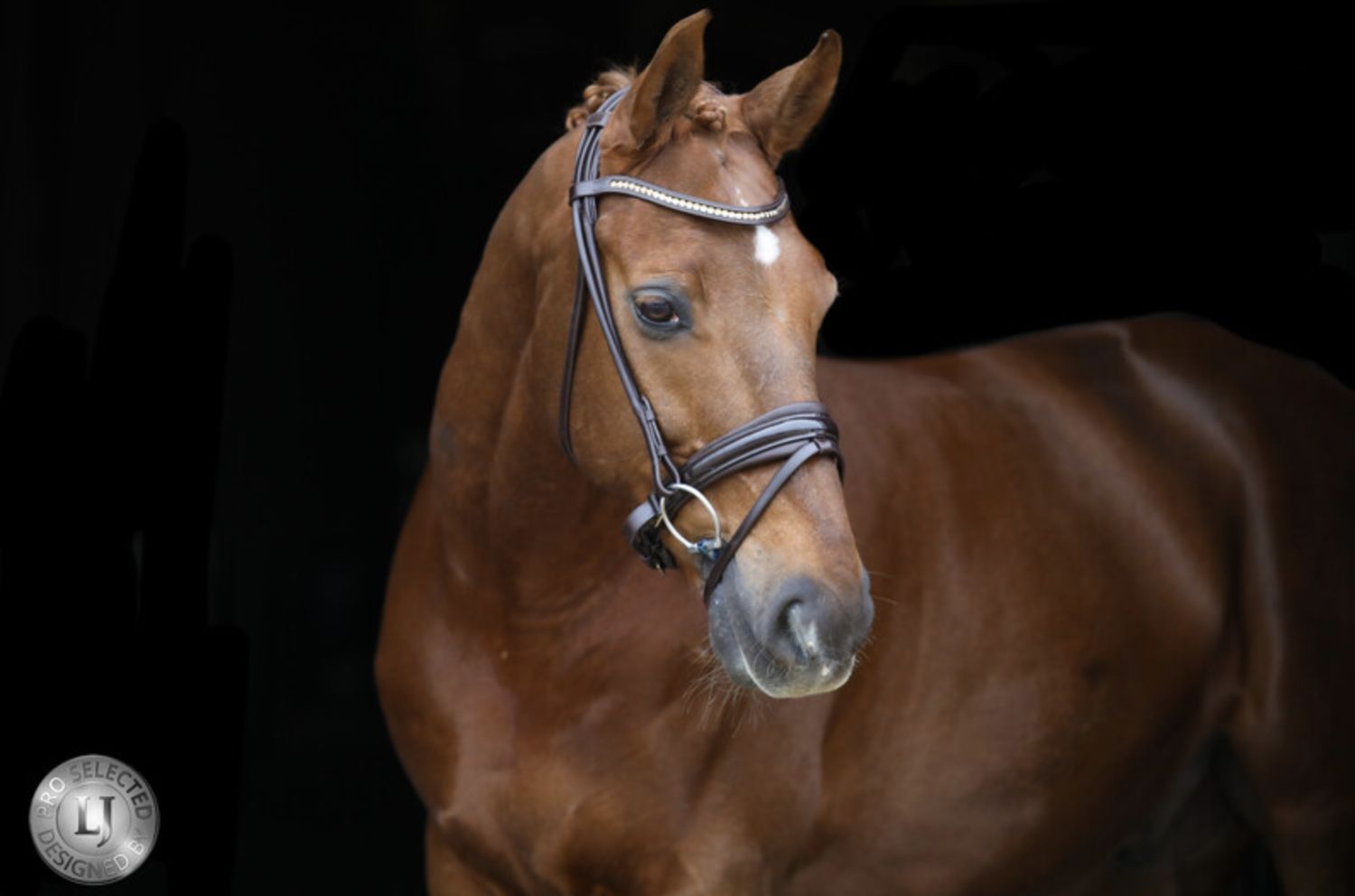 LJ Pro Selected Serrento rond genaaid leder chocolate