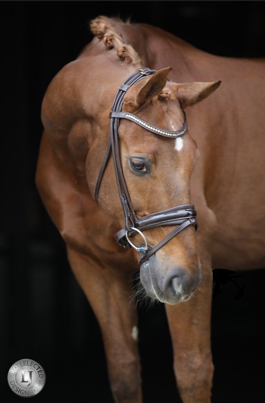 LJ Pro Selected Serrento rond genaaid leder chocolate