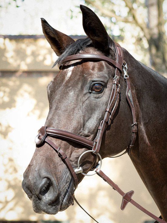 Equiline Anatomical light jp bridle