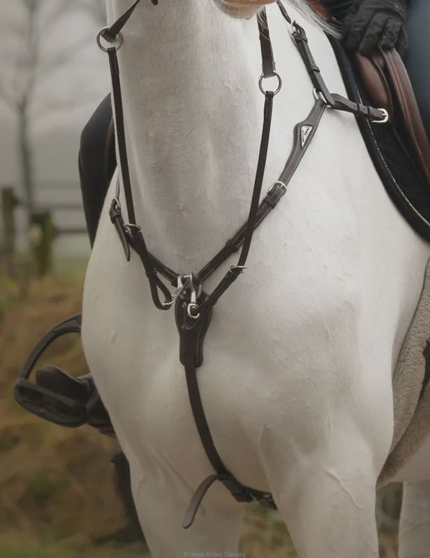 Equiline jachtmartingaal
