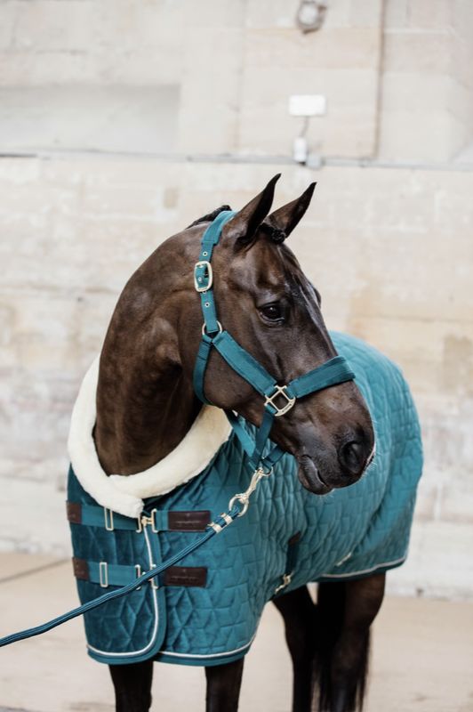 Kentucky Velvet Halster
