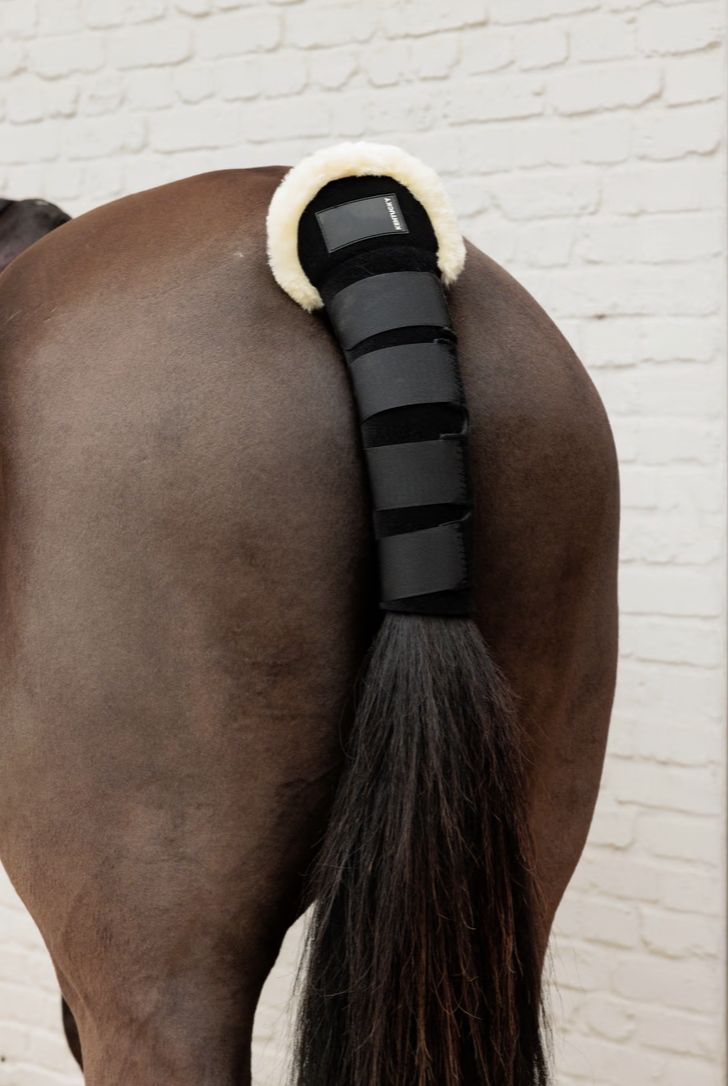 Kentucky Staartbeschermer wol