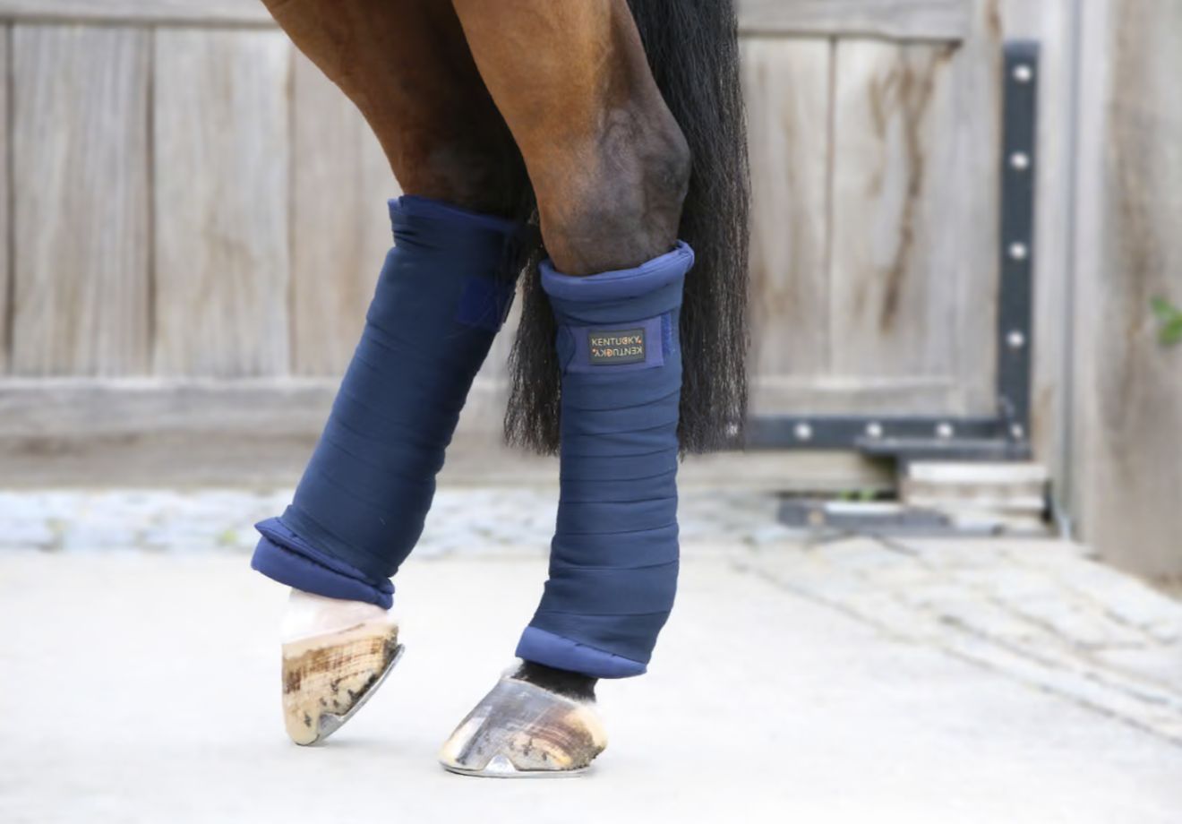 Kentucky Stable bandages pads