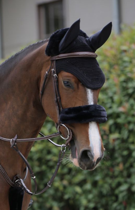 Kentucky sheepskin noseband cover