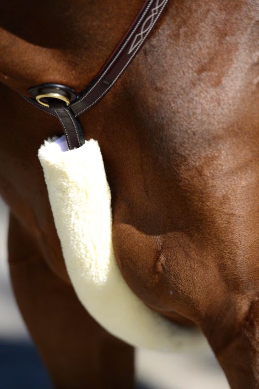 Kentucky sheepskin breastplate cover