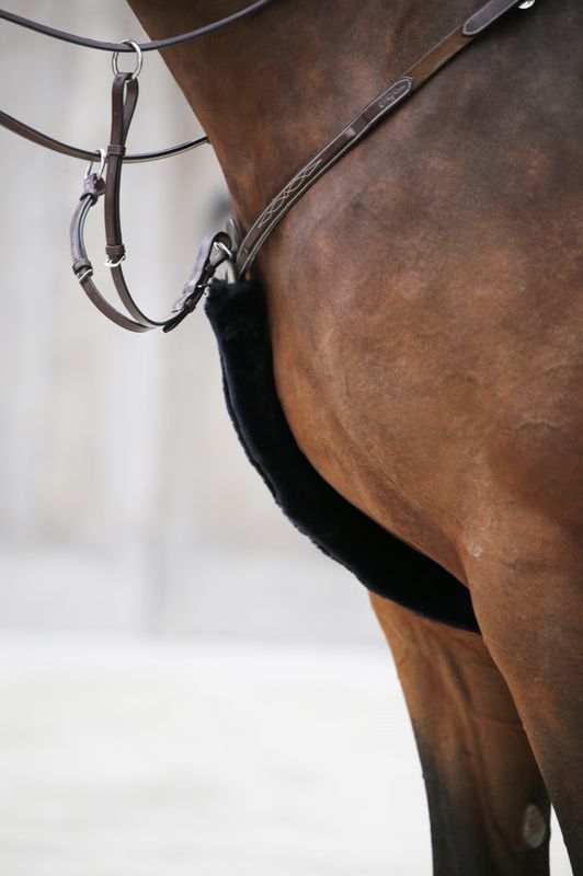 Kentucky sheepskin breastplate cover