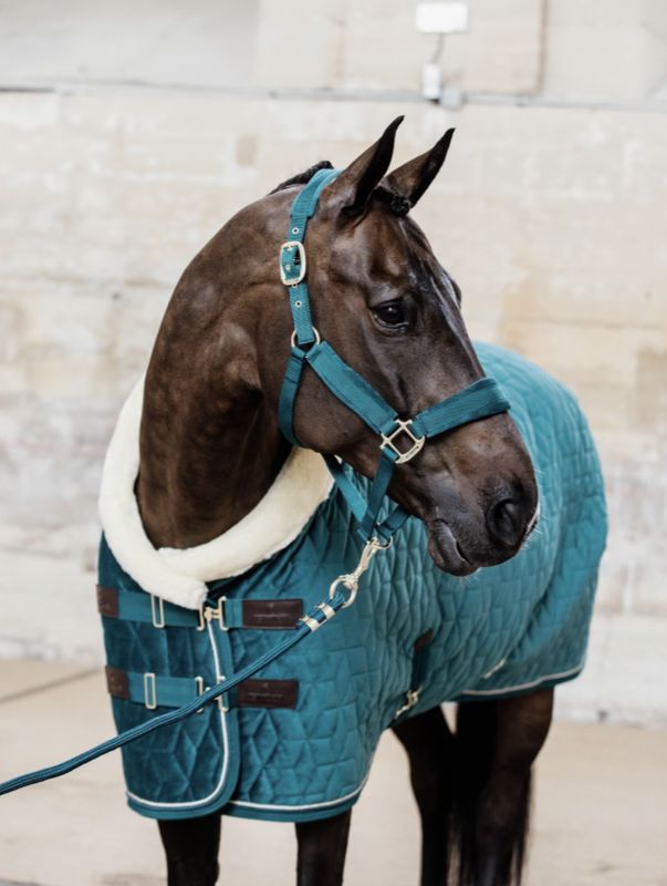 Kentucky halstertouw basic