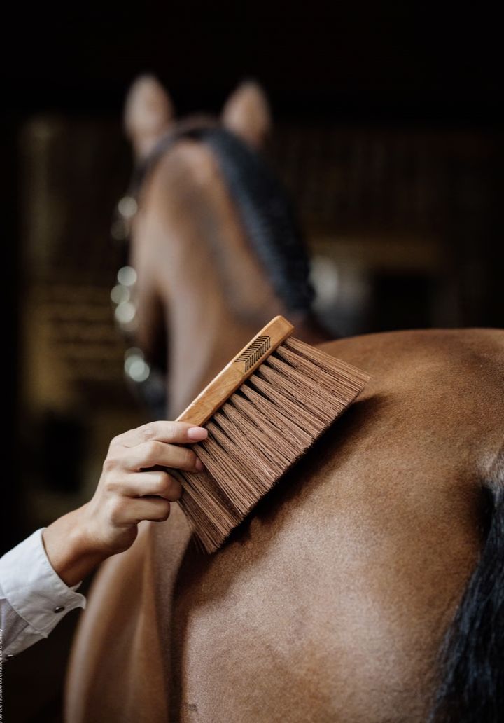 Grooming Deluxe middle brush M