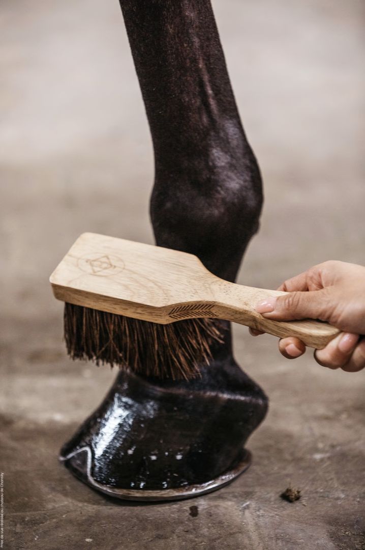 Grooming Deluxe hoefborstel