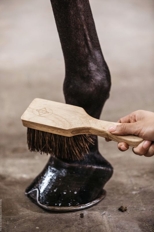 Grooming Deluxe hoefborstel