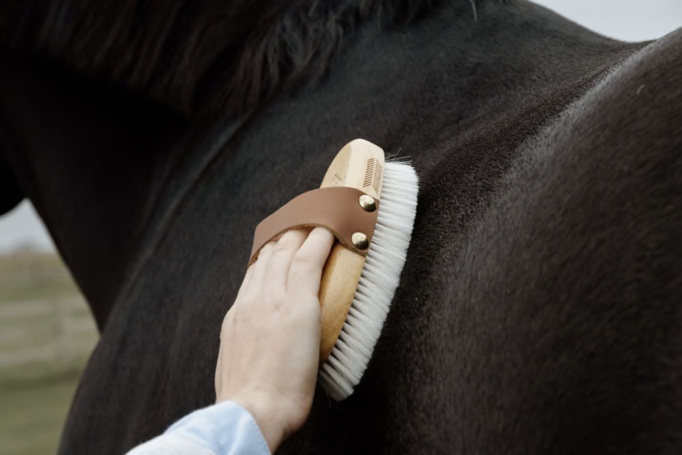 Grooming Deluxe small overall brush soft