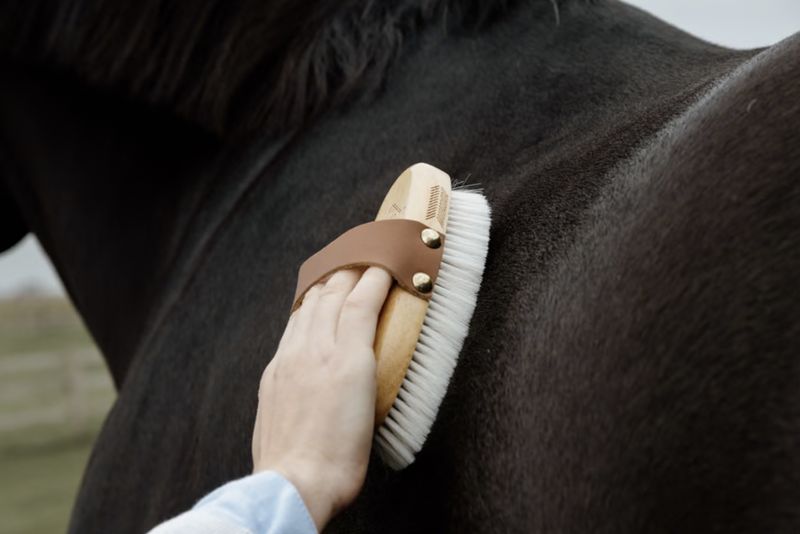 Grooming Deluxe small overall brush soft