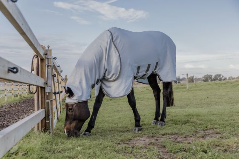 Kentucky Eczeemdeken