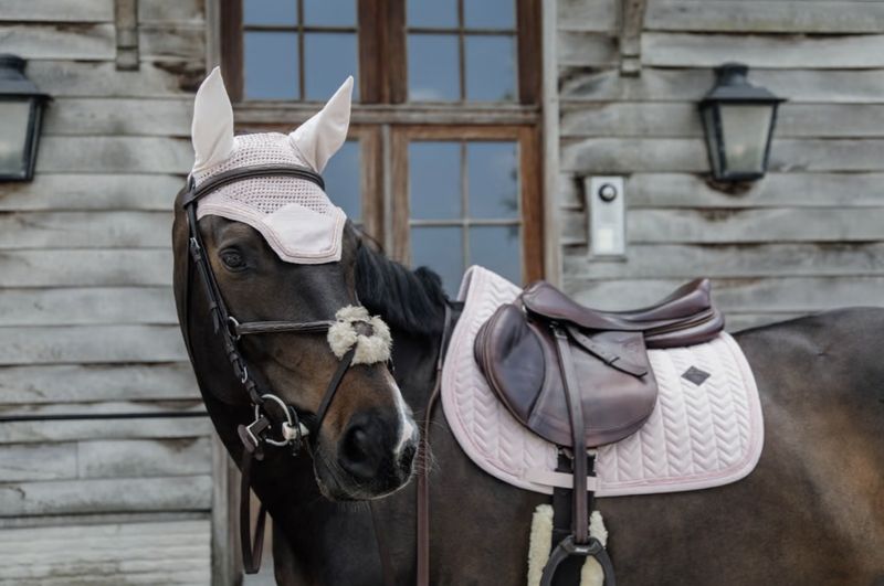 Kentucky Zadeldek Velvet pearls springen