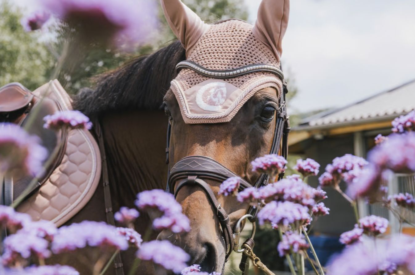 Kentucky Oornetje Wellington 3D Logo &amp; Koord