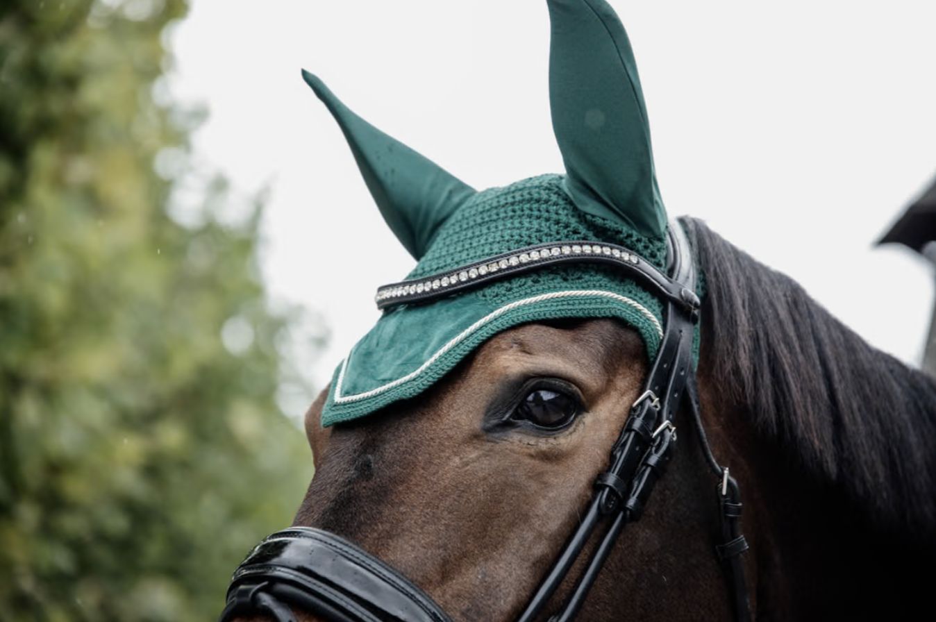 Kentucky Oornetje Wellington Velvet