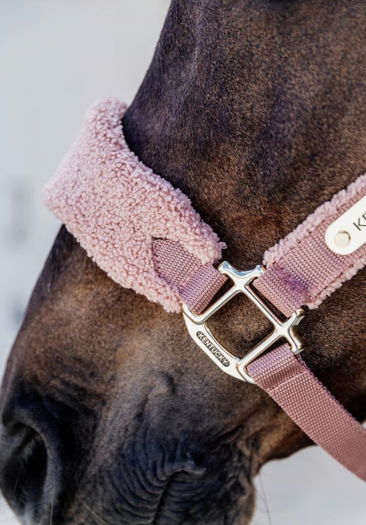 Kentucky Teddy Fleece halster