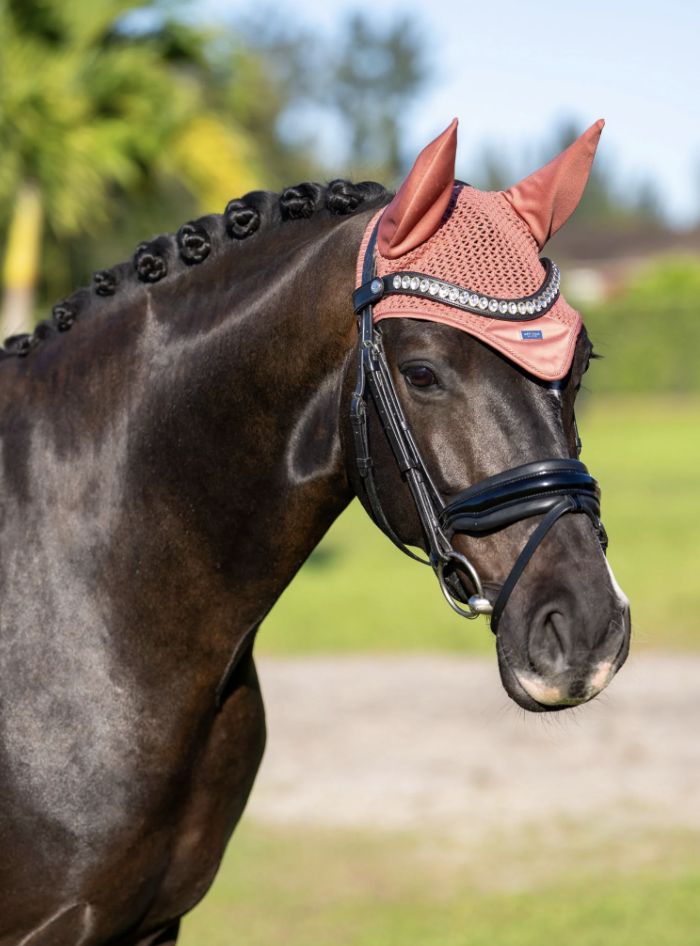 Equestrian Stockholm oornetje Coral