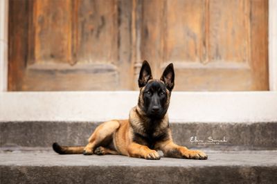 Manden &amp; kussens