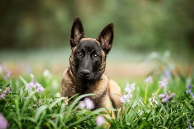 Voeding &amp; snacks