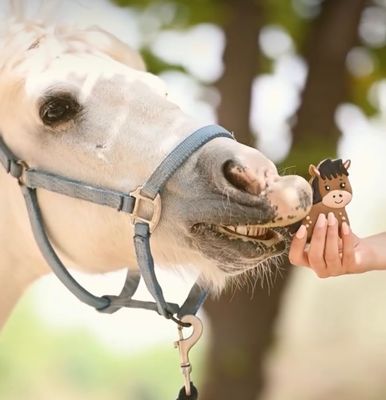 Likstenen &amp; snoepen