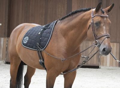 Longeren &amp; hulpteugels